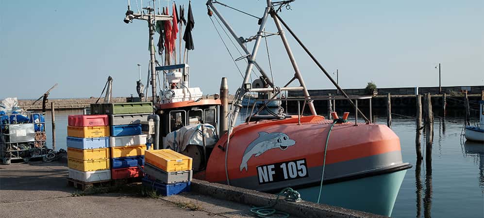 Hesnæs Havn og lystbådehavn Marinaguide dk